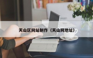 渭南天山区网站制作（天山网地址）